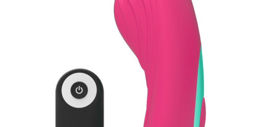 PANTY VIBRADOR PARA BRAGUITA CONTROL REMOTO