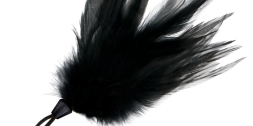 PLUMA ESTIMULADORA NEGRO 17 CM