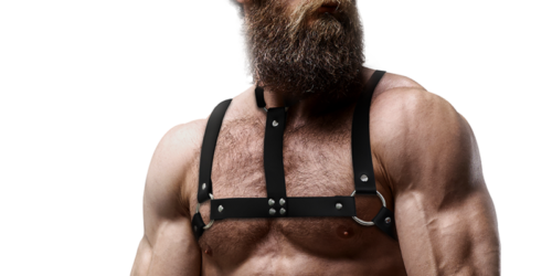 ARNÉS AJUSTABLE CON COLLAR HOMBRE
