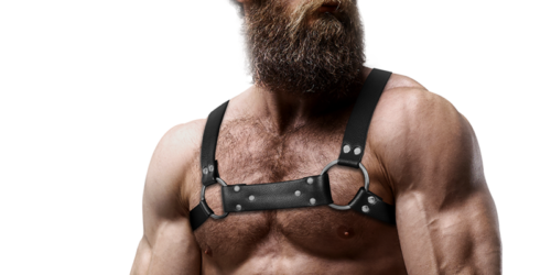 ARNÉS BULLDOG PECHO HOMBRE TALLA M/L